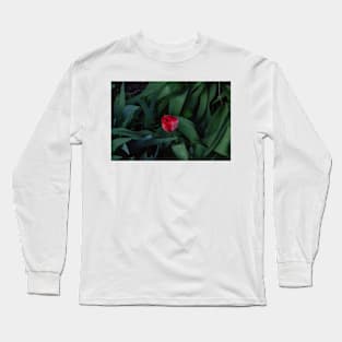 Single Tulip waiting Long Sleeve T-Shirt